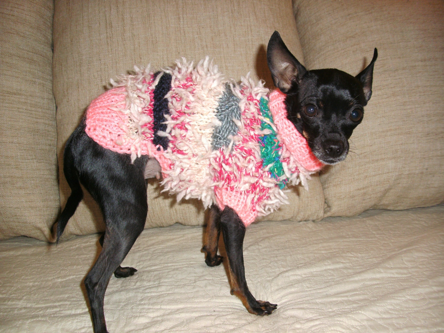 Small Dog SweaterChihuahua sweaterPet SweaterDog by