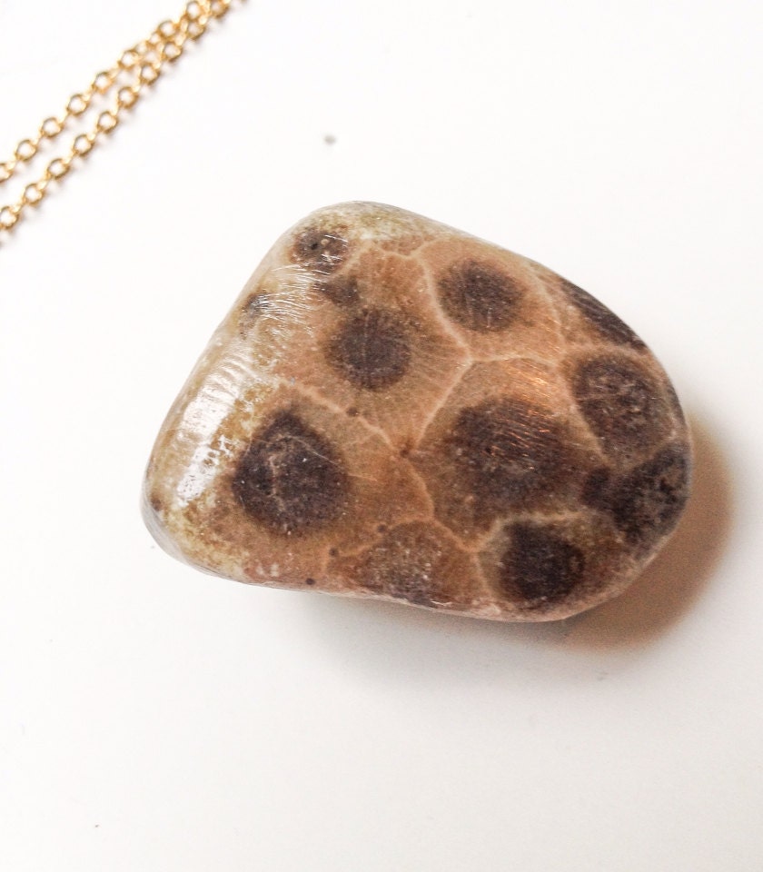 Amazoncom: petoskey stone jewelry