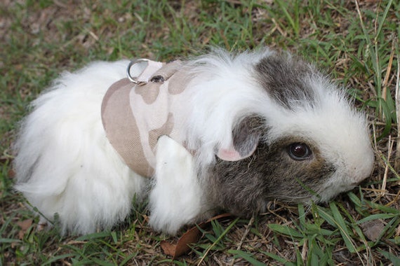 Custom made harness for your guinea pig matching by turvytopsy