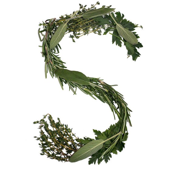 Herb Wall Decals alphabet letters removeable by FONTOGRAPHY