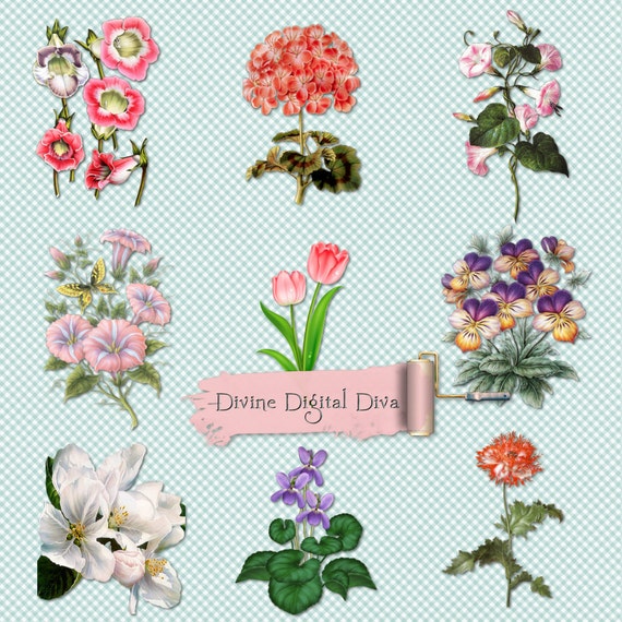 27 Mixed Flowers Floral Clipart Transparent by DivineDigitalDiva