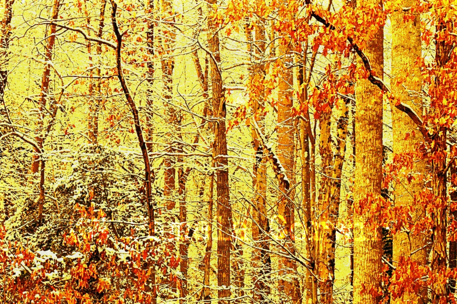 Autumn forest painting: autumn trees art print forest painting