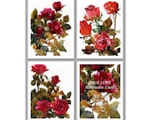 All Occasion Gift - Set of 6 NOTE CARDS - "True Love" - Floral Watercolor Paintings Red Roses by Linda Henry (NCWC085) All Occasion Gift - Set of 6 NOTE CARDS - "True Love" - Floral Watercolor Paintings Red Roses by Linda Henry (NCWC085)