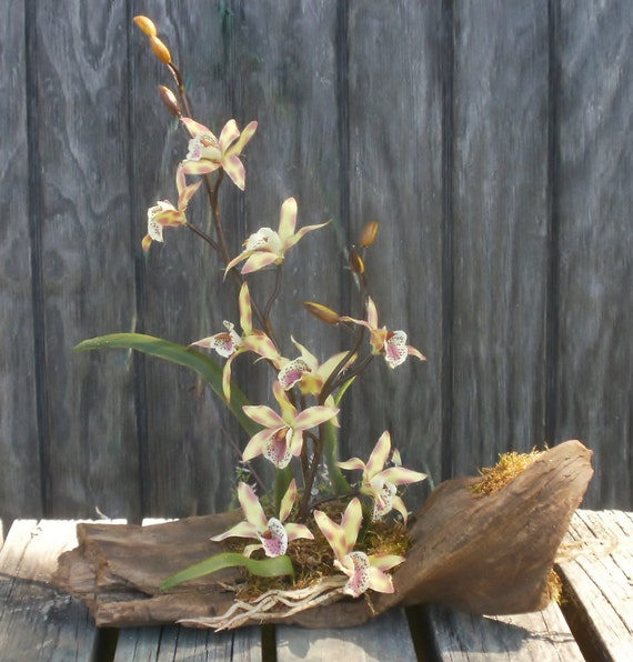 Orchids Driftwood Bar Floral Arrangement Moss By Memaandco 0808