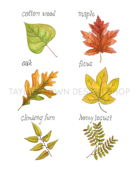 Items similar to Fall Leaf Water Color Print on Etsy