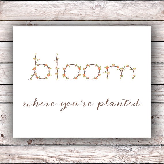 Bloom Where You're Planted Printable Art Print Instant
