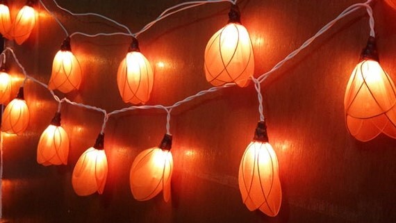 so cute orange tulip cute nice string lights 20 flowers gift