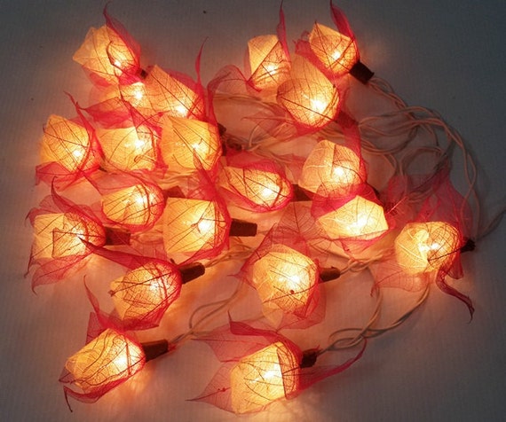 sweet soft rose purple white string lights 20 flowers party