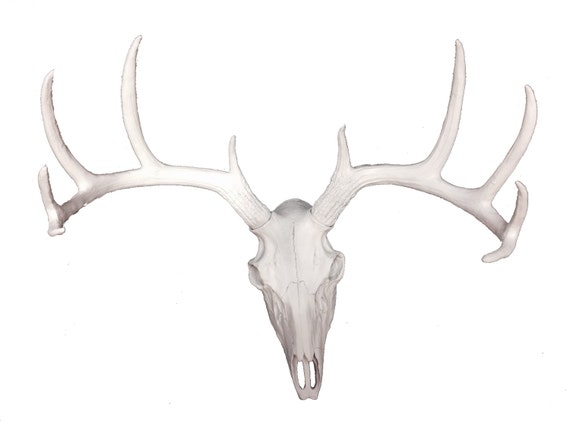 White Deer Skull Head Mount Wall Statue. Faux Taxidermy Fake Deer Skull ...