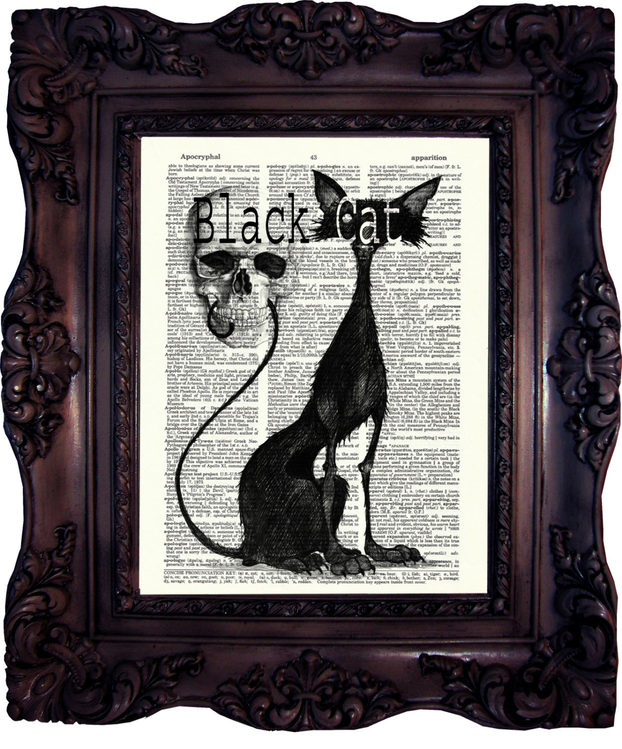 edgar allan poe story the black cat