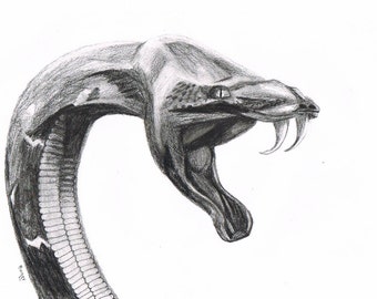 snake sketch