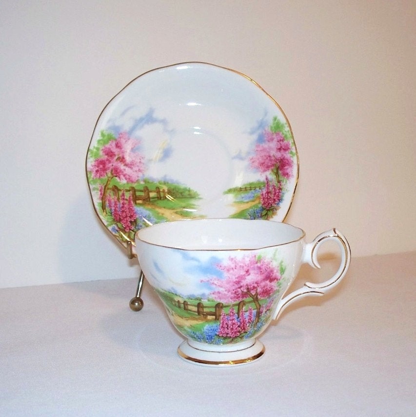 Queen Anne MEADOWSIDE Bone China Tea Cup and Saucer 13471