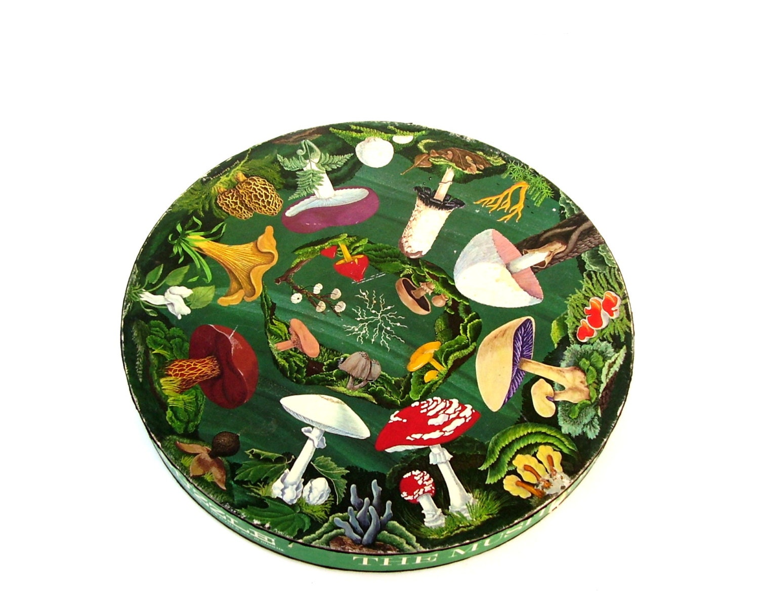 Vintage Springbok Puzzle Mushroom Jigsaw Puzzle 1968