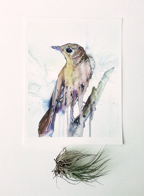 Nightingale Painting Original Print - 8.5x11 Watercolor Art - Bird Art ...