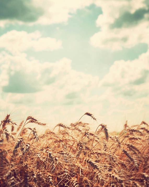 Midwest photography country decor fine art by JourneysEye on Etsy