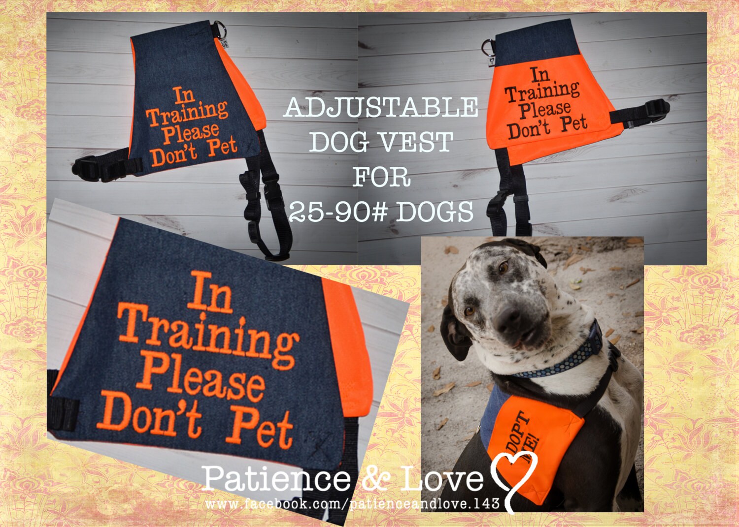 Vest for 25 to 90lb dogs In Training Please Don't