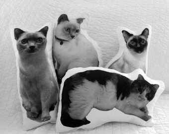Cat pillow, Custom Cat Pillow, Decorative pillow, Sofa pillow, throw pillow, Accent pillow, personalized pet, cat lover pillow, cat photo