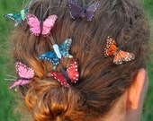 Butterfly Hair Clip /Hair up-do/ Multi-colored stylish feather butterfly