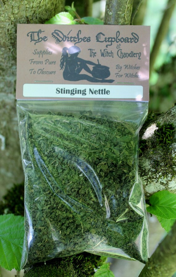 Stinging Nettle dried herb incense ingredient by TheWitchChandlery