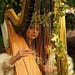 fairyharp