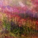 Lisa Berlin - White Swan Studio