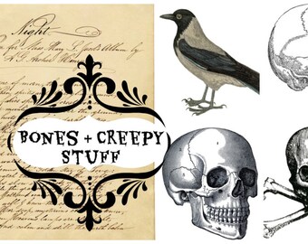 Digital clip art | Creepy Halloween clip art images | Skulls raven bones skeletons | PNG files | transparent background | Instant download