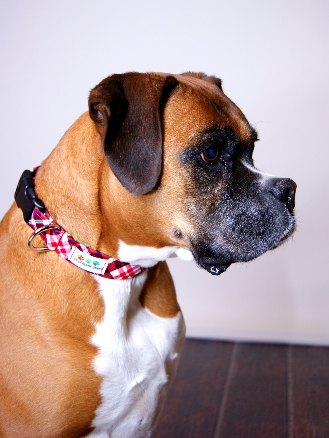 Dog Collar Tutorial How to make a dog collar INSTANT