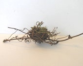 5 Bird's Nest Place Card Holder, Wedding Favor, Baby Shower, Bridal shower