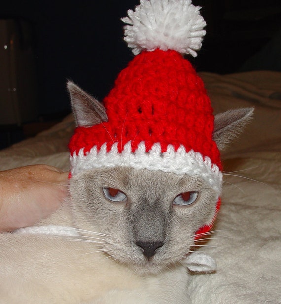 Handmade Crochet Santa Elf Cat Hat Cap Beanie Pattern