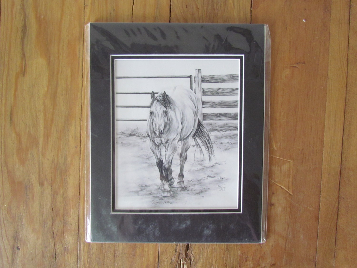 Fine Art Print matted ready to frame standard size wall