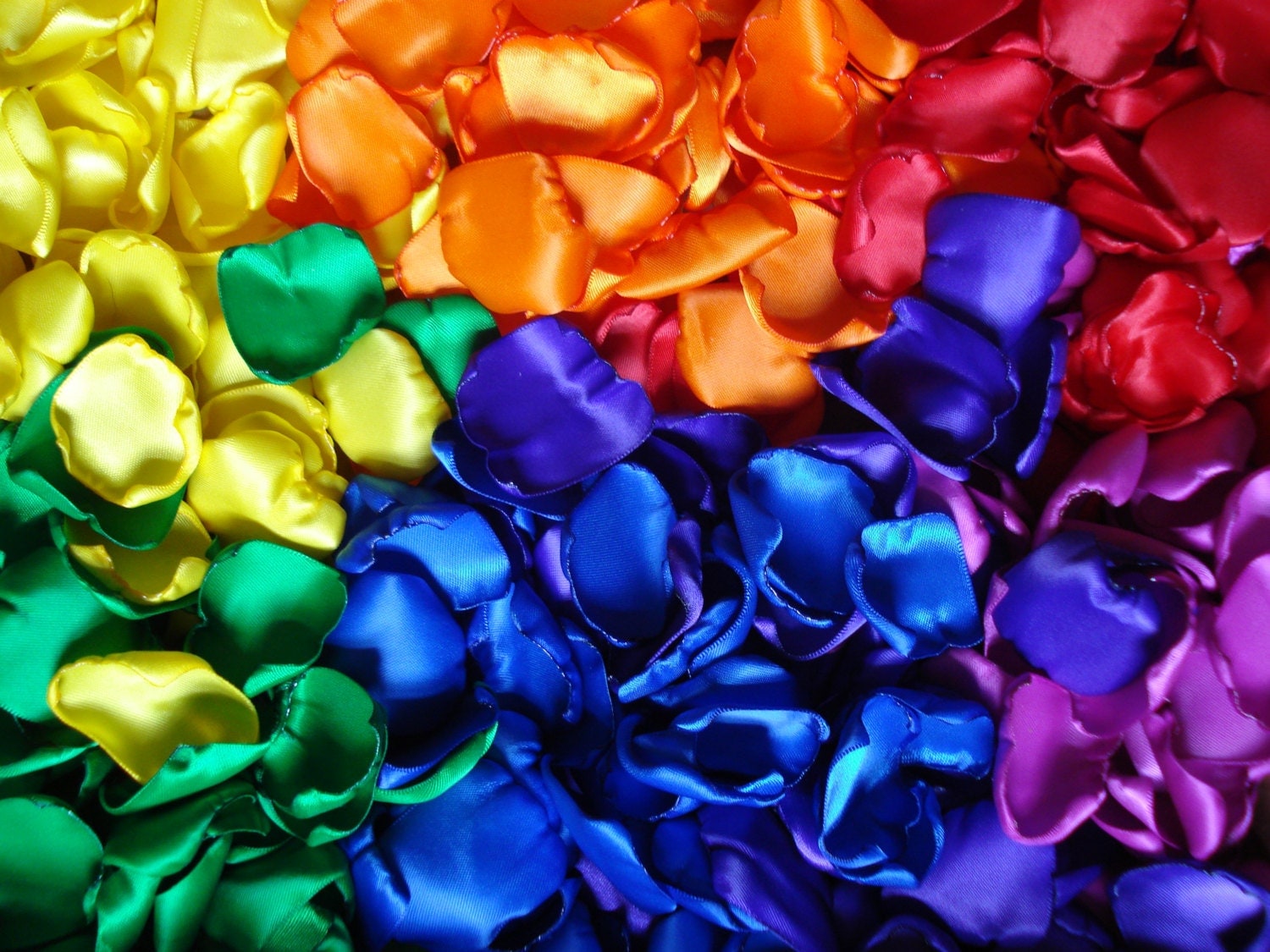 Colored Flower Rose Petals Custom Colored Petals Rose