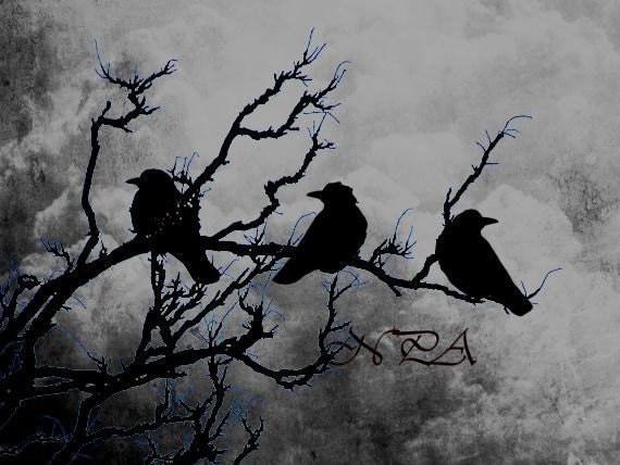 3 crows conjure