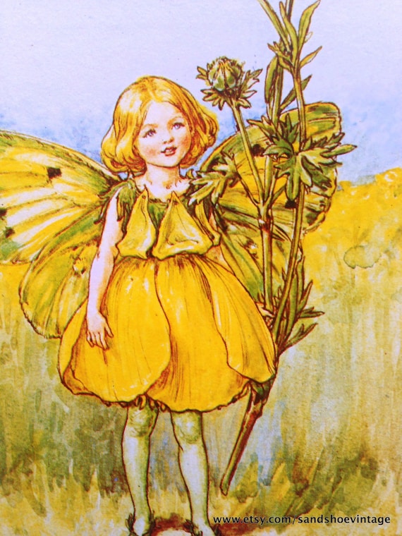 1930s Buttercup Fairy Cicely Mary Barker Print Ideal For Framing From 