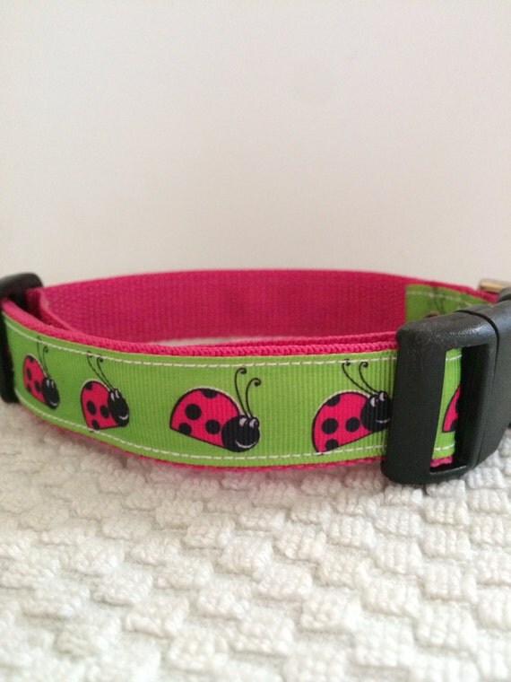 Items similar to Ladybug 1inch Collar by DoodleBug Designs on Etsy
