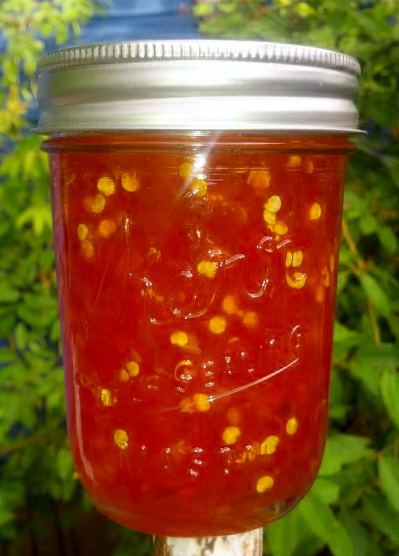 Bulgarian Carrot Pepper Jelly Handcrafted Small Batch