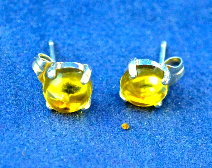 Amber Cabochon Studs, 6mm Round, Natural, Set in Sterling Silver E560