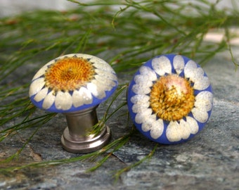 Knobs, Glass Knobs, Cabinet Knobs, Clear resin with preserved Daisy- Flower, Garden