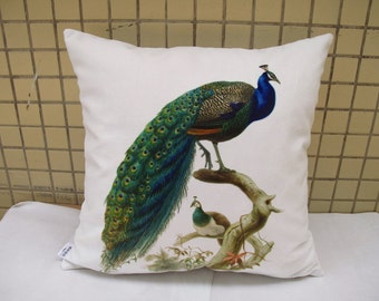 Decorative Velvet throw pillow cushion cover vivid peacock animal design double sides optional sizes wholesale Available