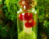 Toadstool / Mushroom  felt miniature in a tiny glass bottle terrarium
