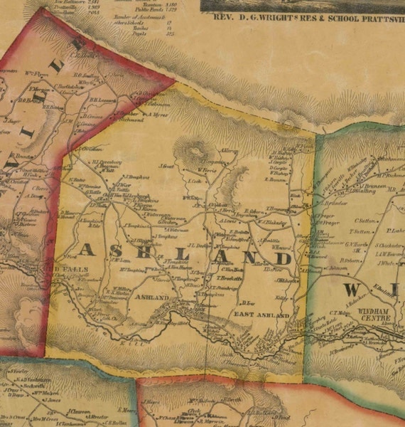 Greene County New York 1856 Wall Map Reprint with Homeowner Names