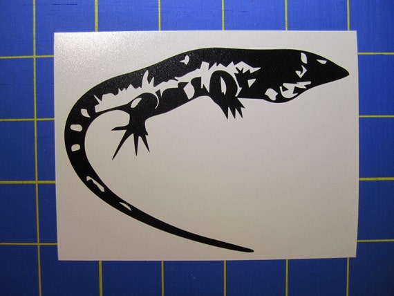 Tegu Lizard Decal/Sticker 4X3 by AmysStickerStore on Etsy