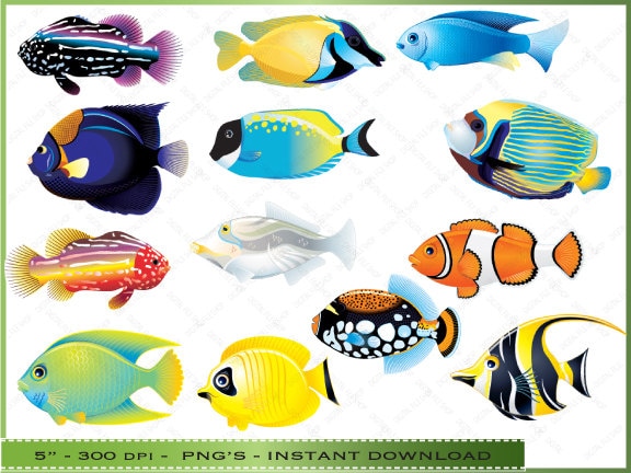freshwater fish clip art free - photo #20