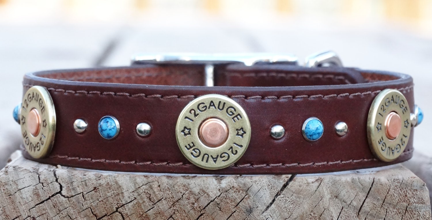 Shotgun shell and Turquoise Leather dog collar / 1 wide/