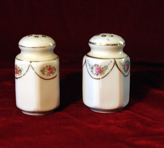 Nippon Porcelain Salt and Pepper Shakers by DawsonScottBooks