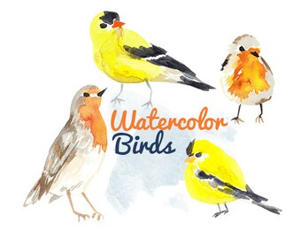 Watercolor Painted Bird Clip Art Birds Commercial use digital scrapbooking bird clipart instant download