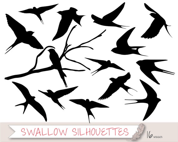 Swallow Clip Art 32