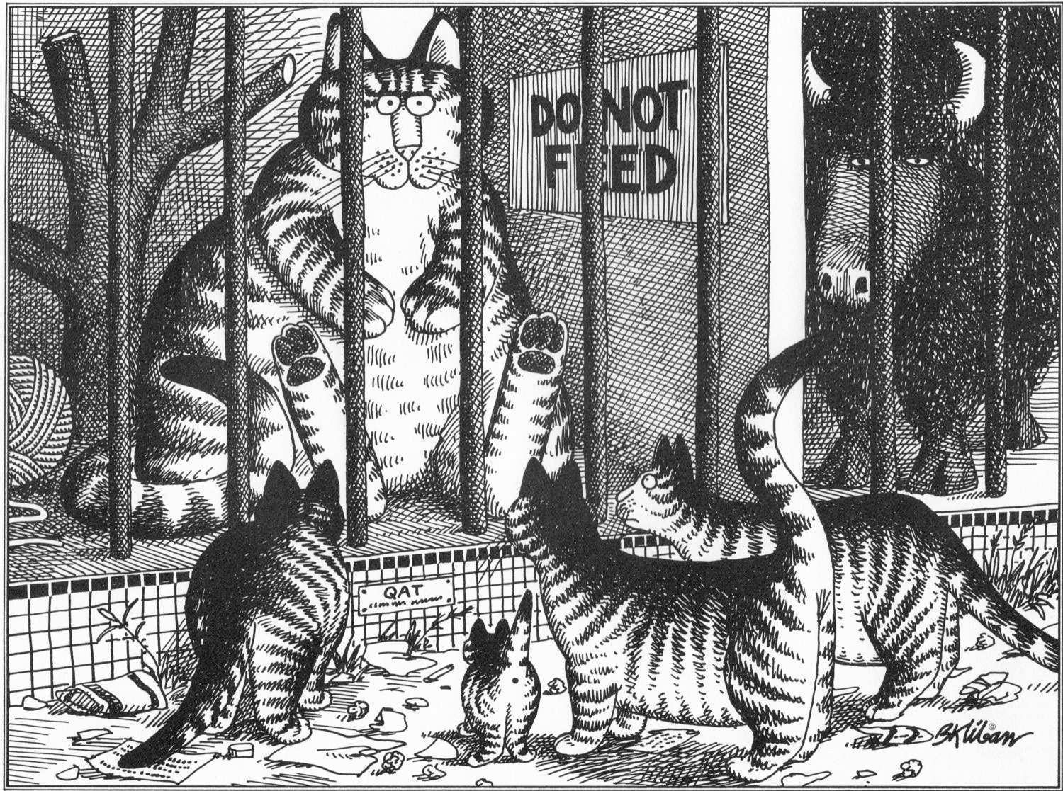 B Kliban Cat Original Vintage Art Print Don't By Victorianaprint