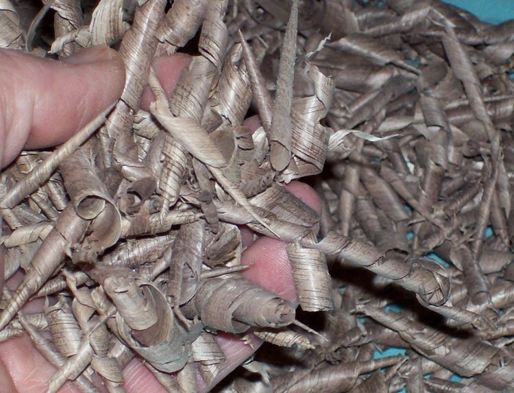 SHAVINGS Black Walnut Heartwood Only Dark by NaturesPickings