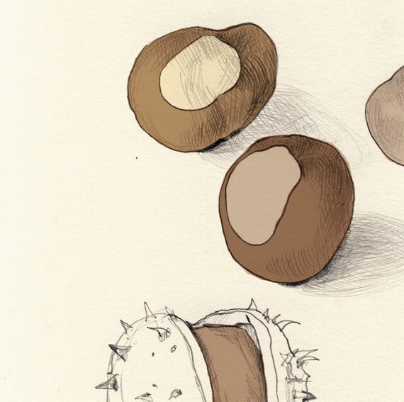 Afficher limage dorigine