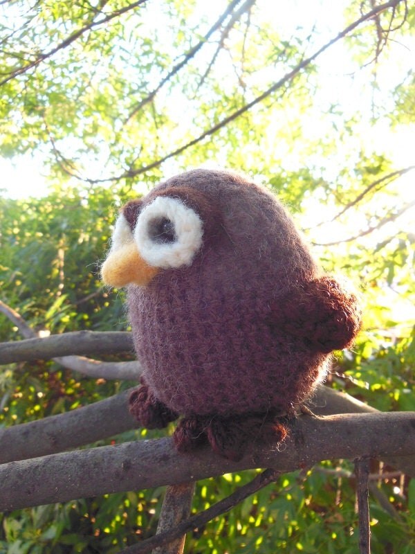 stuffed barn owl